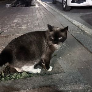 爱是心疼你早就不疼的伤口