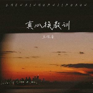 真心换教训