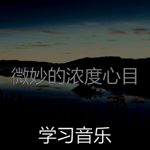 安静的焦点声音