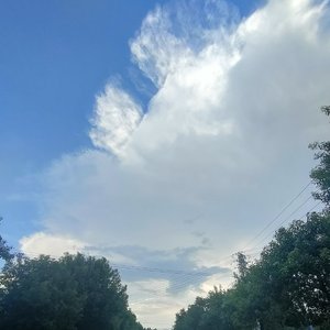 七友(吉他弹唱版)