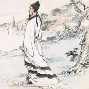 杨花落尽子规啼
