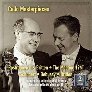 Arpeggione Sonata in A Minor, D. 821 (Arr. for Cello & Piano):I. Allegro moderato [Live]