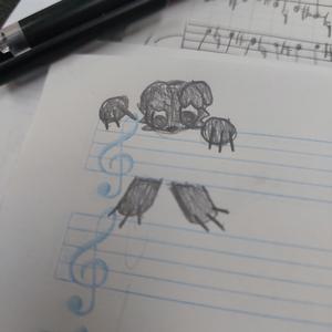 havi (Little Version)