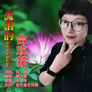 流泪的合欢花