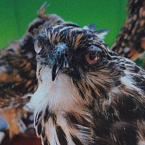 暂停一下prod by Dirty-3