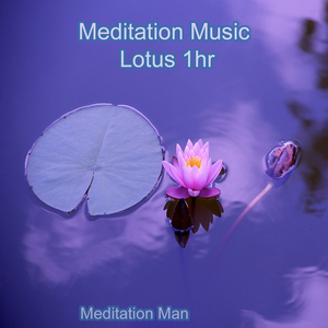 Meditation Music Lotus 1hr v7