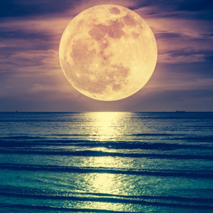 The Moon Follows Me Home