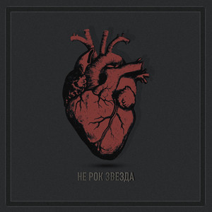 Не рок звезда