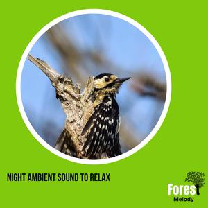 Exploring Birdsong Across the World with Northern Flicker
