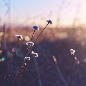 雪解 (Yukige - Moon Phasing)