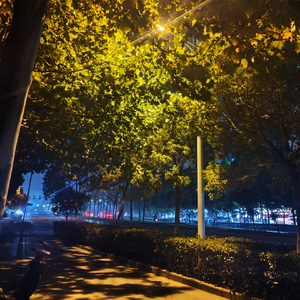 《咽回去的晚安》