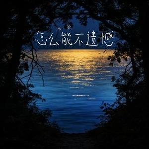 怎么能不遗憾 (伴奏)