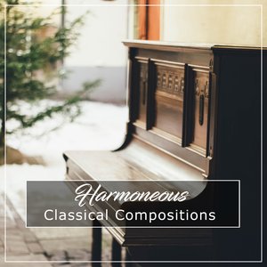 Beethoven's Sonata No 7 in D Major Op 10 No 3 II Largo e Mesto