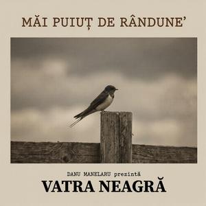 Măi puiuț de rândune’