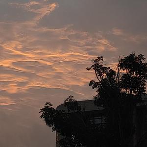 夜半（翻自 谢宇伦）