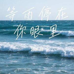 等雨停在你眼里