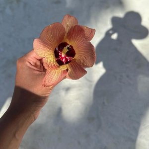 皮卡皮 皮卡丘（3D 环绕版）（Salao remix）