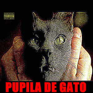 Pupila de Gato