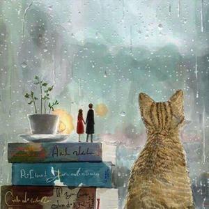 【钢琴】他喜欢的是你