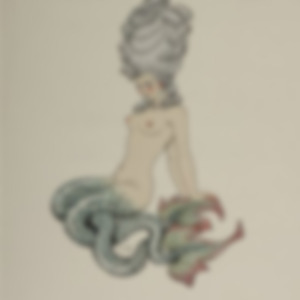 puboku