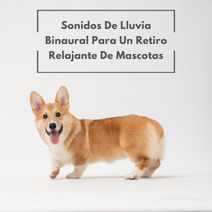 Spa Para Mascotas Con Sonidos De Lluvia Binaural