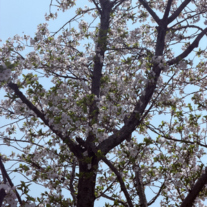 你欠我的不是再见 是那年没说完的其实