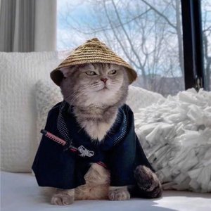 卷珠帘（翻自 局外人）