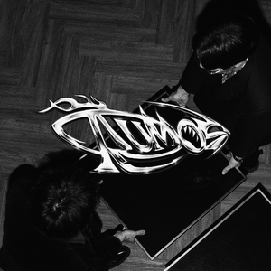 เมือง (Toxicity)