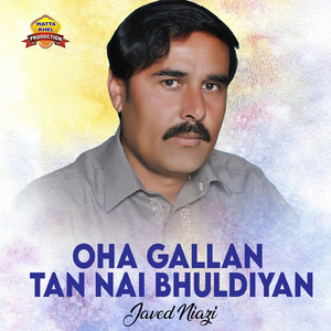 Oha Gallan Tan Nai Bhuldiyan