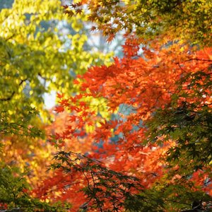 后来有了一切却没了我们