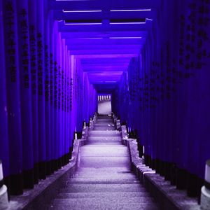 抚慰的学习回忆