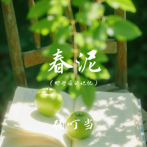 春泥(那些痛的记忆)