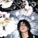 虚拟 (R&B版) - 梦境里的算法池 专辑封面