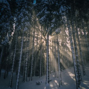 Winter Chill