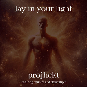 Lay in your light