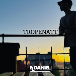 Tropenatt