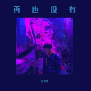 白白张- 再也没有