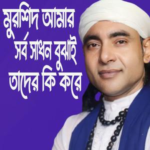 মুরশিদ আমার সর্ব সাধন বুঝাই তাদের কি করে