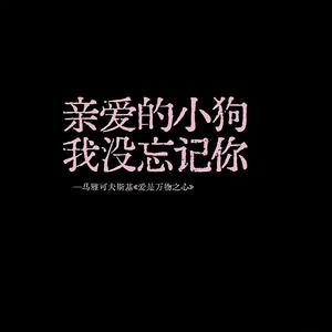 你想去很多地方.ᐟ.ᐟ‪ᯅ