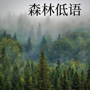 森林低语