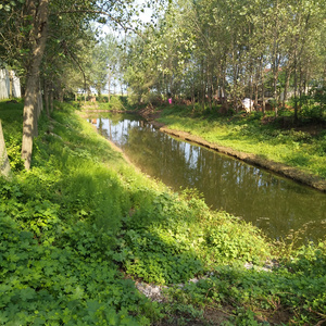 赵化彬-童真（赵化彬 Remix）