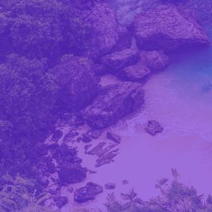 一尘不染吃印象数