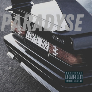 Paradyse