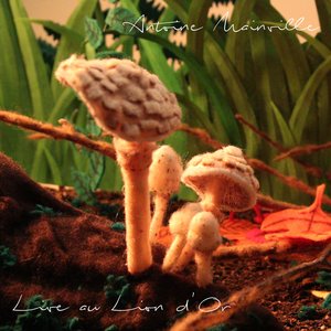 Un grand voilier (Live)