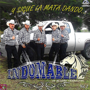 La Merma del Traficante
