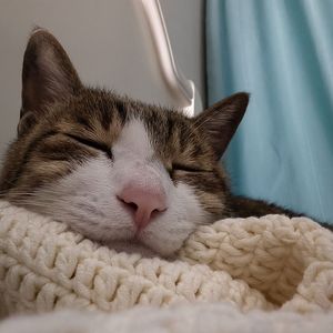 好想要放假-伴奏