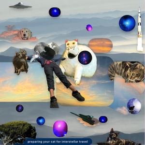 Stelliferous