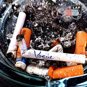 Bogen ohne Pfeil (Acoustic)