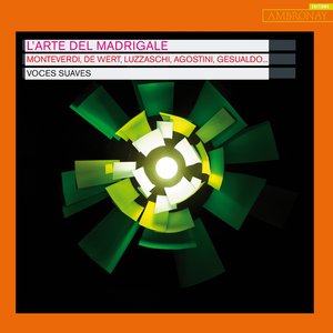 Del vago Mincio sull’adorne sponde