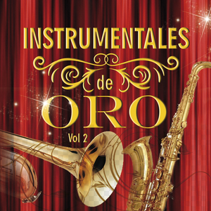 Te Amo Necesariamente